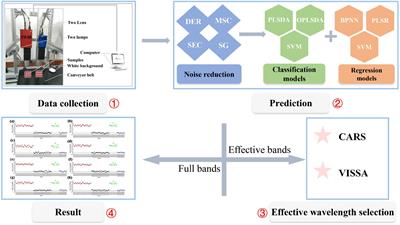 Nutrient content prediction and geographical origin identification of red raspberry fruits by combining hyperspectral imaging with chemometrics